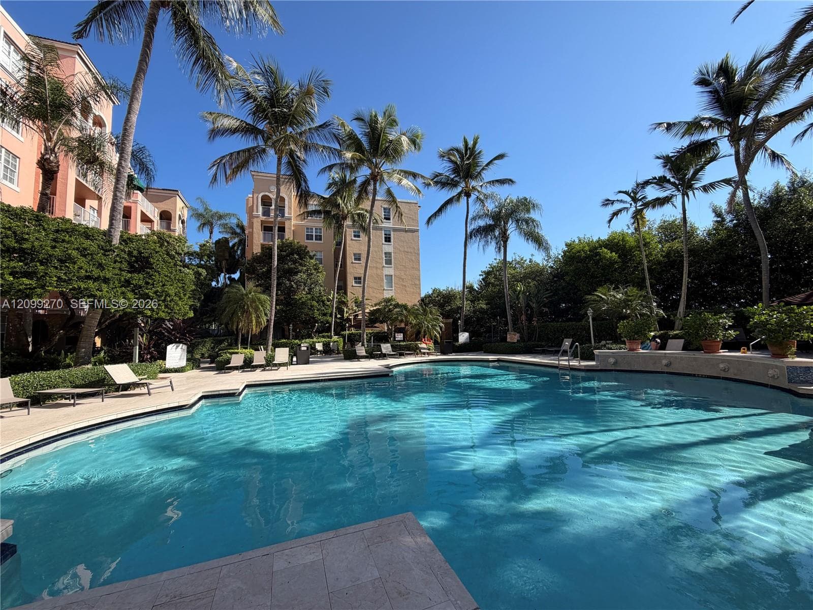 Outdoor swimming pool featuring stone-paver decking and mature palm tree landscaping