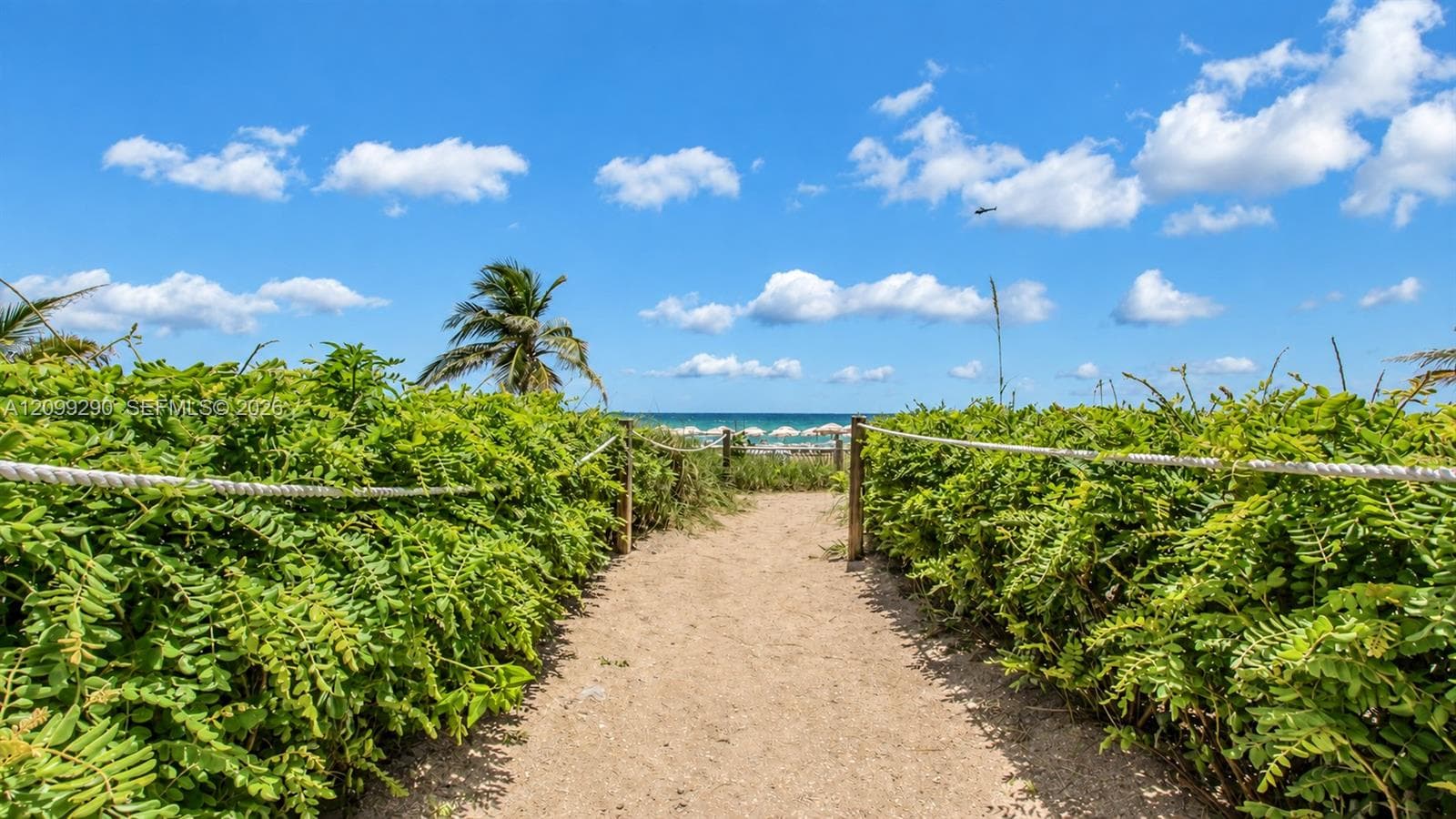 Trump Palace · #602 in Sunny Isles Beach - Photo 43