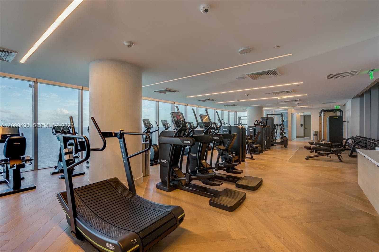 State-of the-art cardio and weight-training equipment.