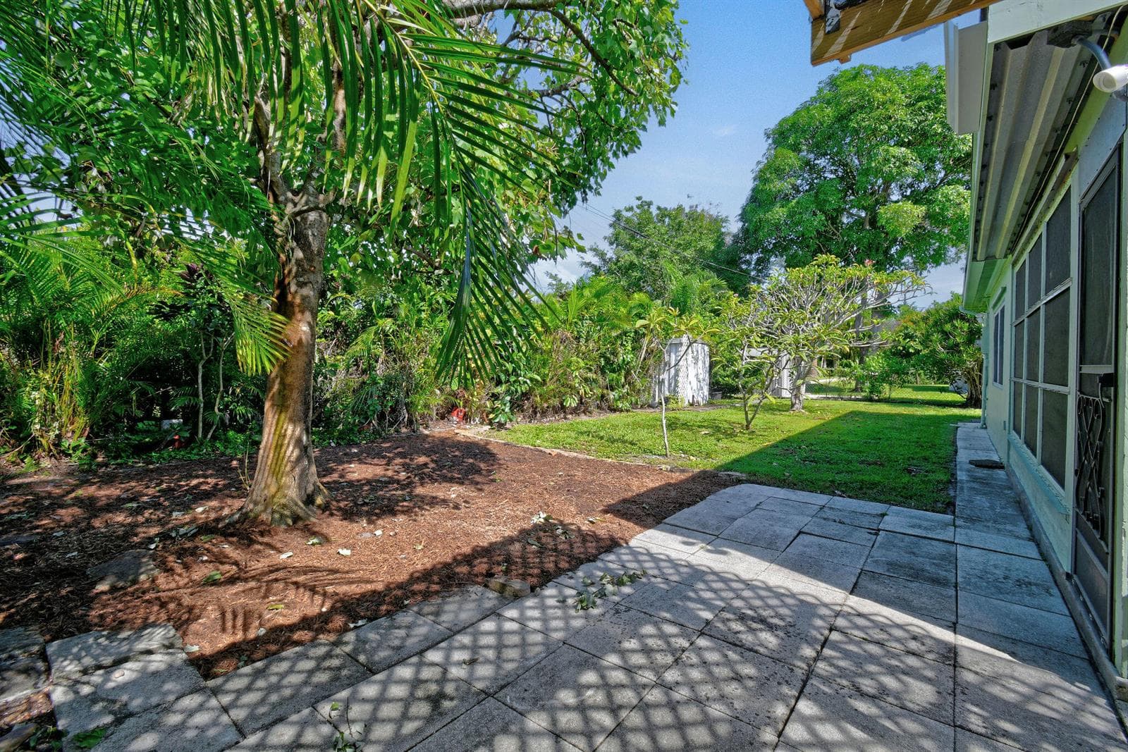 12229ColonyAve two Plumeria Trees