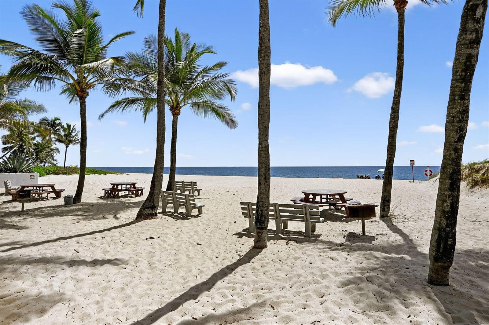 48-web-or-mls-40-print-1391 -1-18
