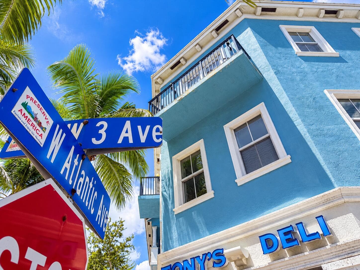 Sunny Florida Street Corner with Palm-Fr