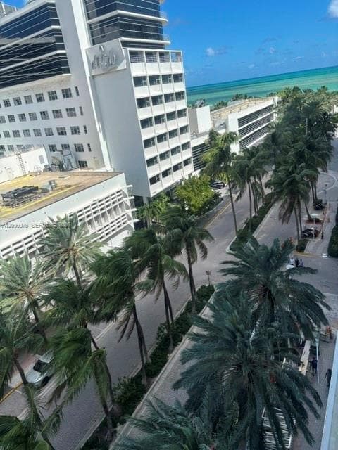 The Decoplage · #812 in Miami Beach - Photo 14