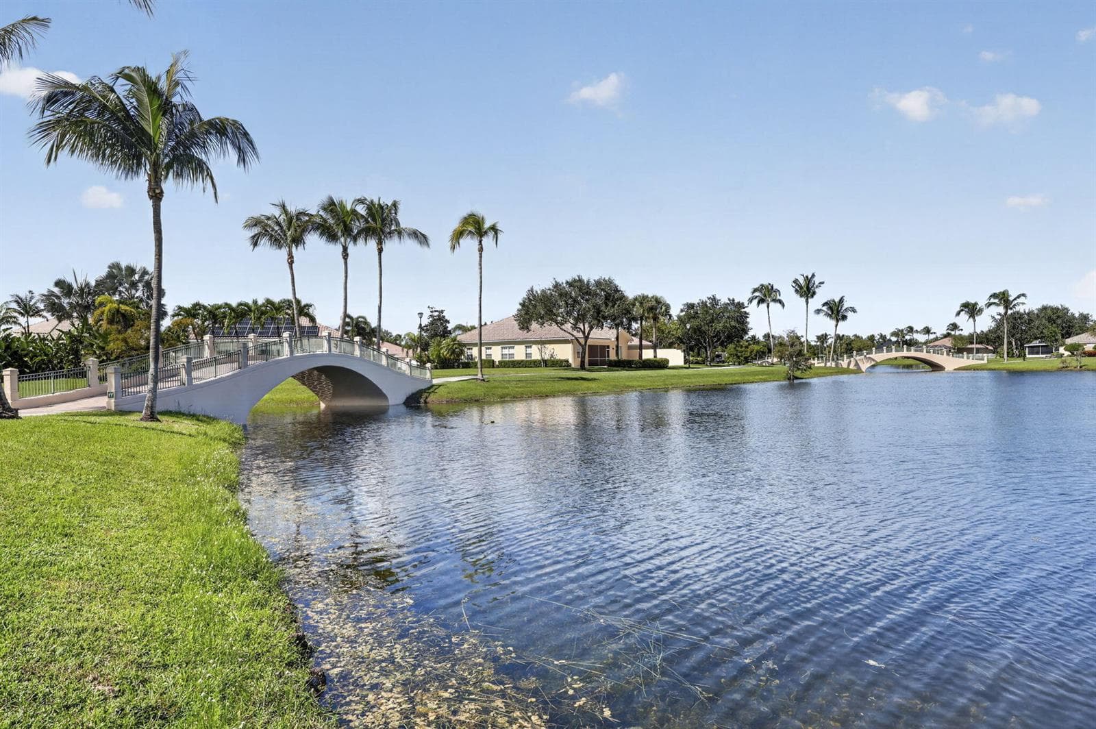 54-web-or-mls-BS1A9338