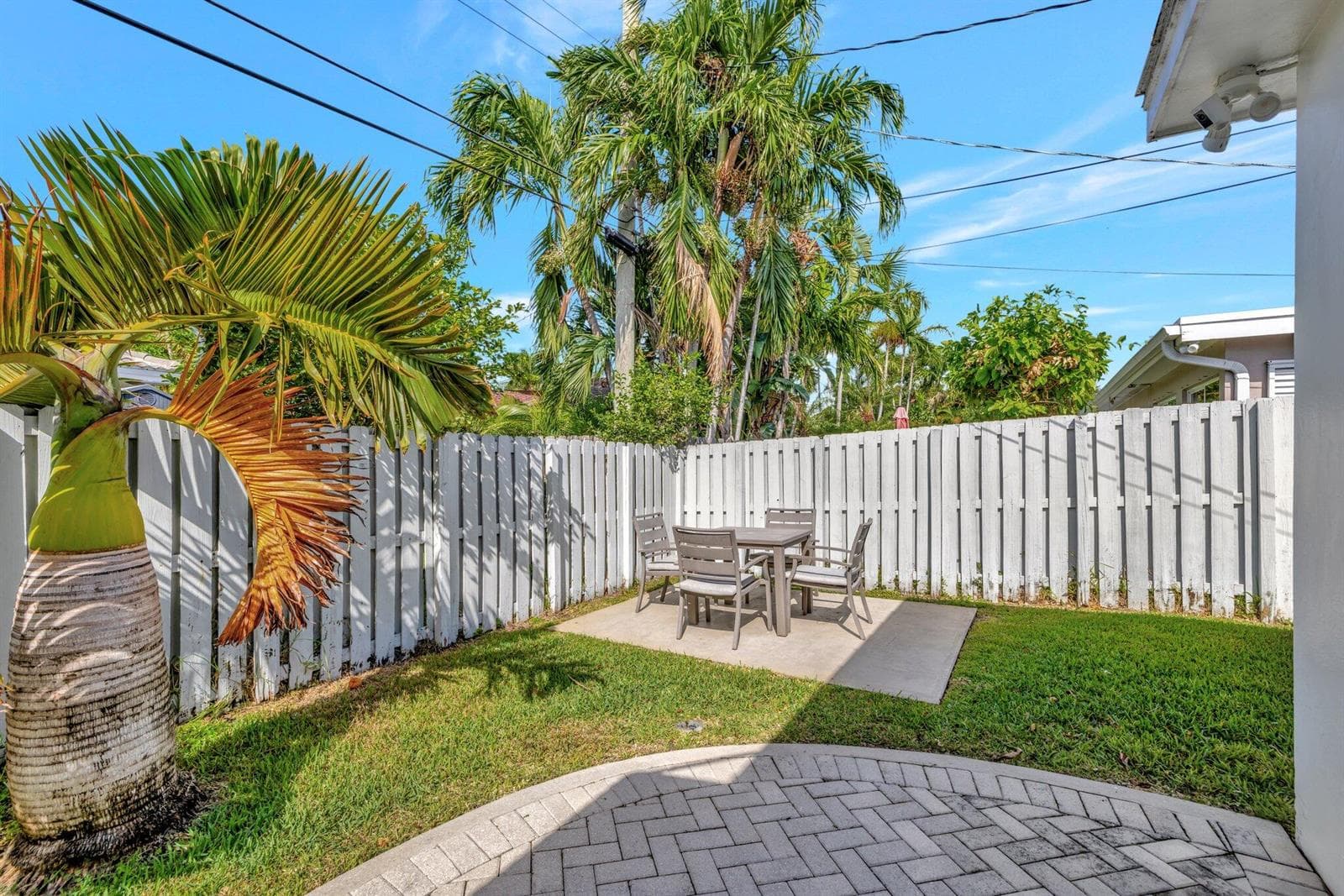 53-web-or-mls-699A3855