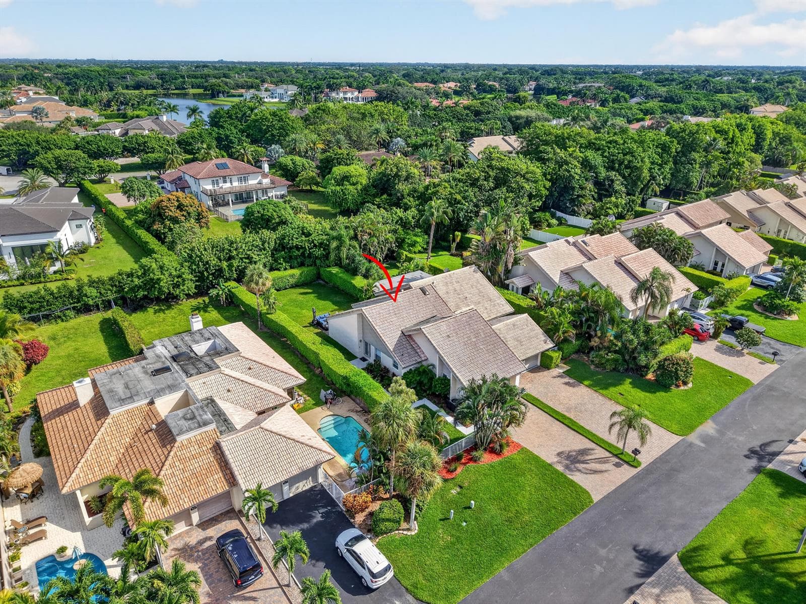 Aerial view