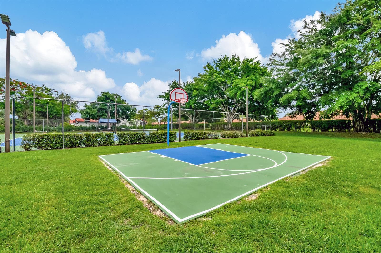 Basketball