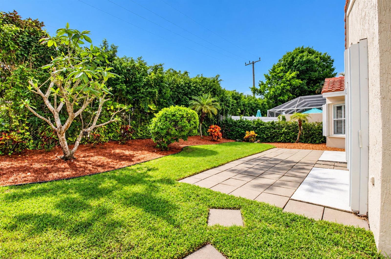 35-web-or-mls-DSC_1644_sunny