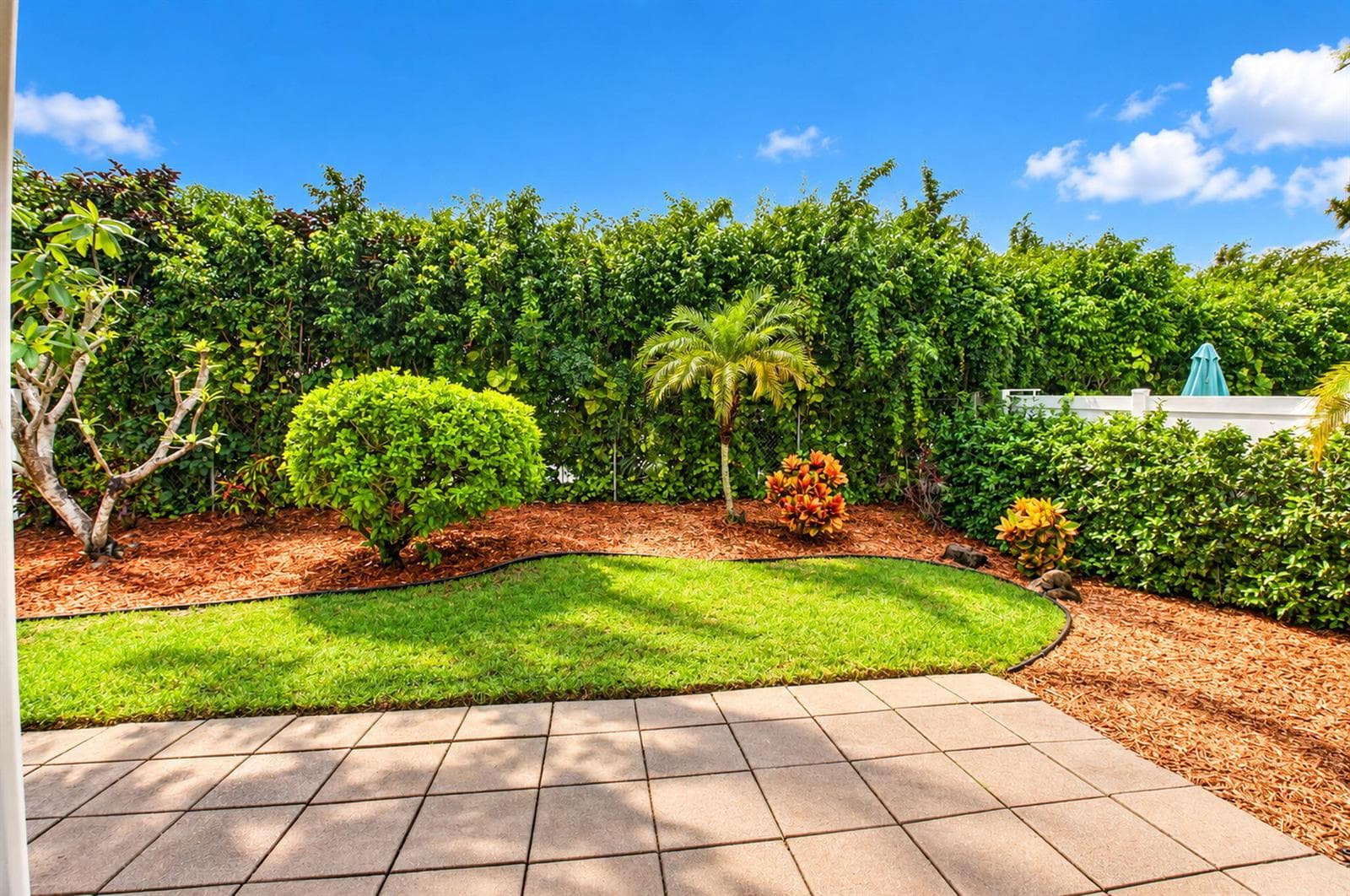 34-web-or-mls-DSC_1639_sunny