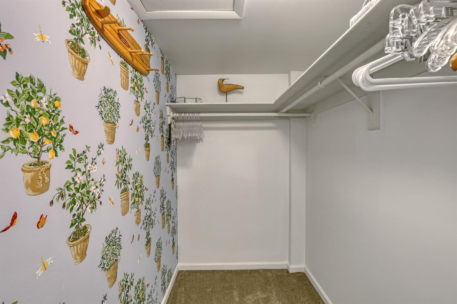 Primary Closet