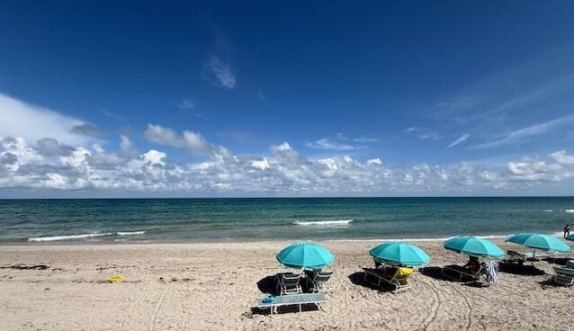 beach with blue umbrellas