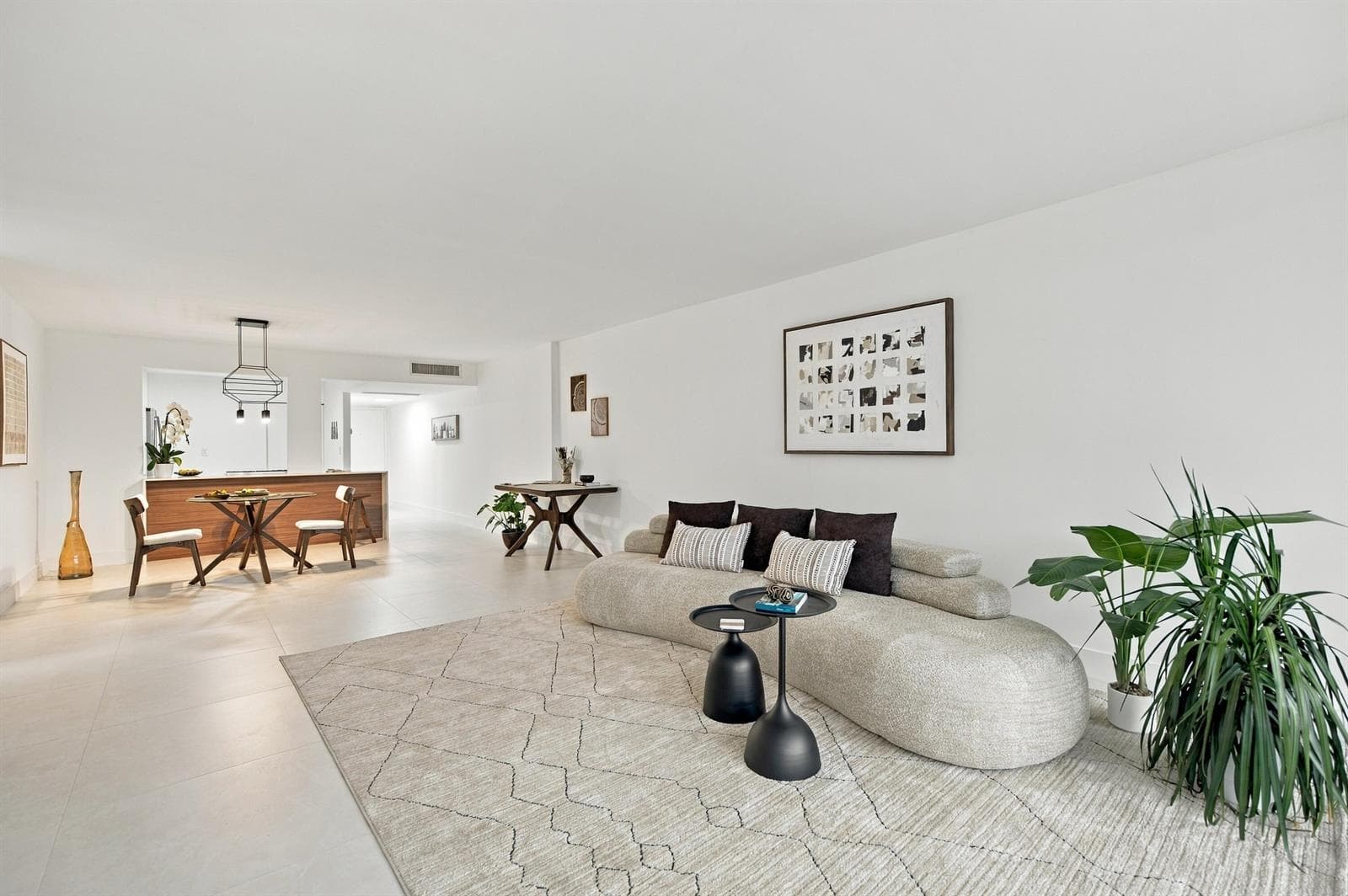 living room/dining room/desk/entry foyer
