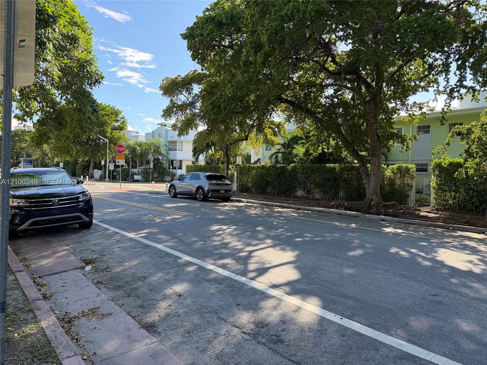 Streetscape featuring mature trees, dense privacy hedging, and multi-story architecture