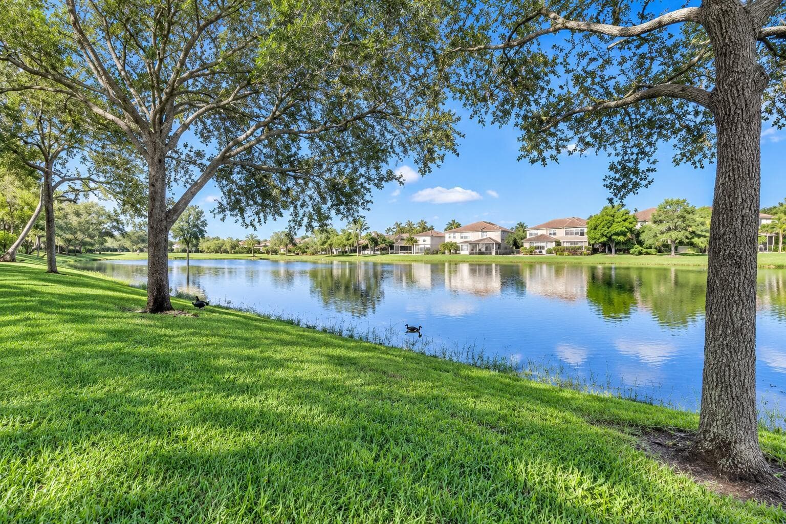 Lake View