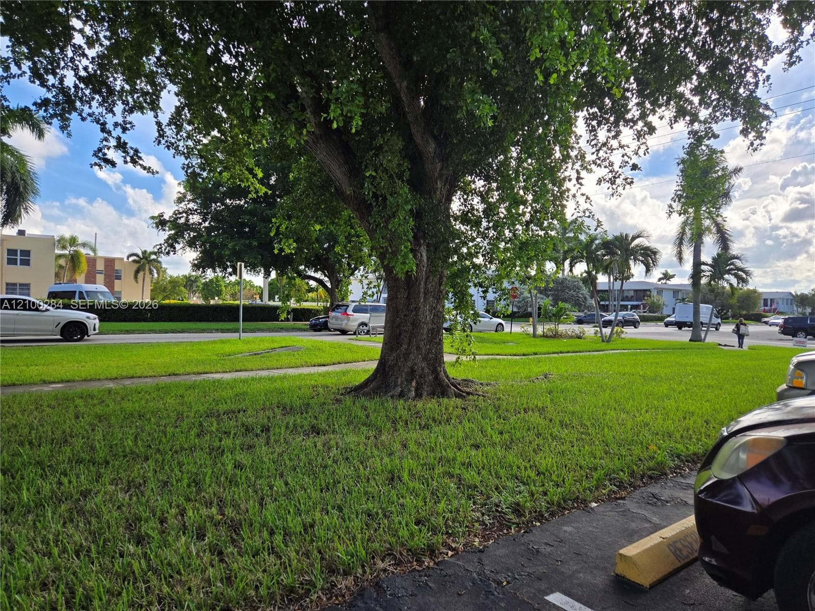 MEADOWBROOK CONDO APTS BL · #608 in Hallandale Beach - Photo 22