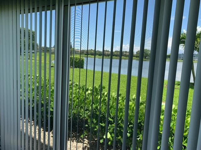 Lake view