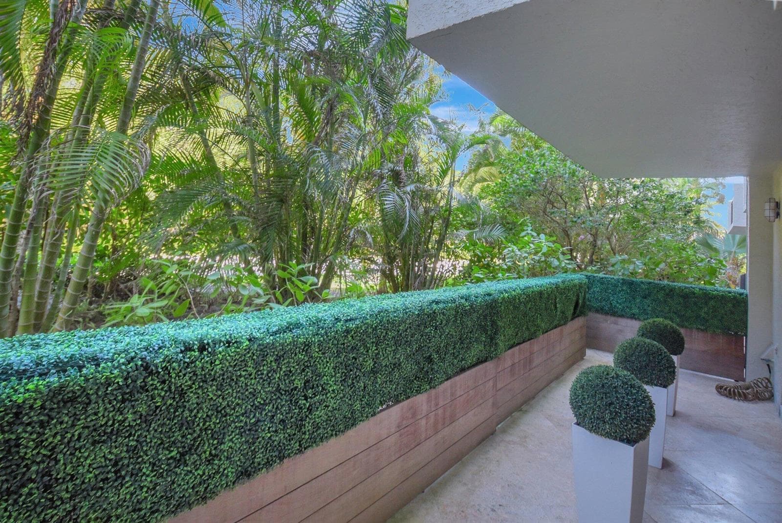Lush Garden View