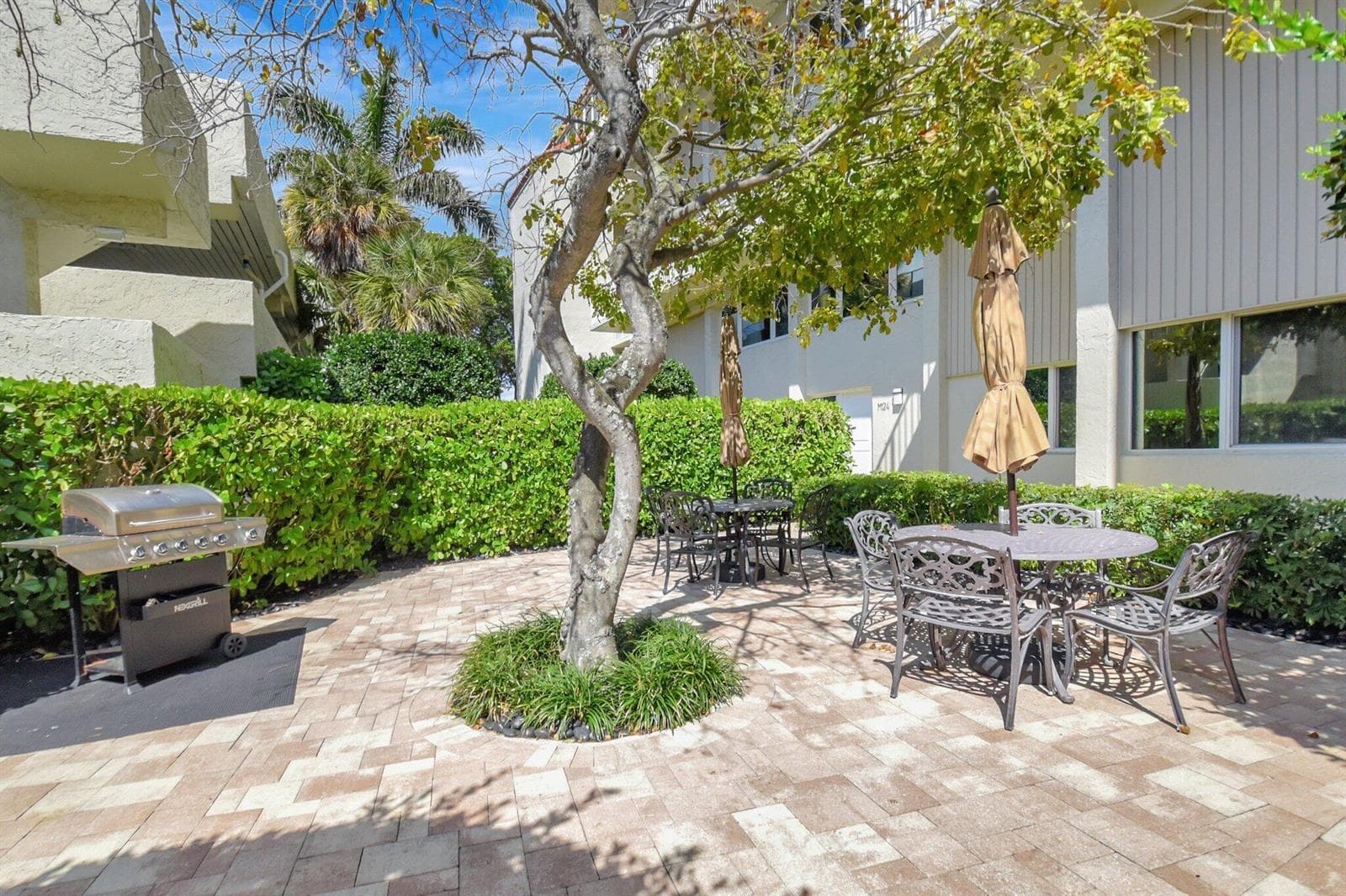 Tropical Courtyard Oasis