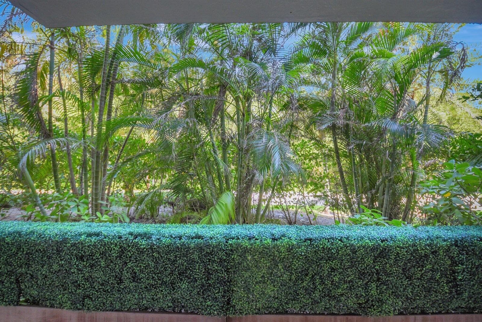Tropical Tranquility