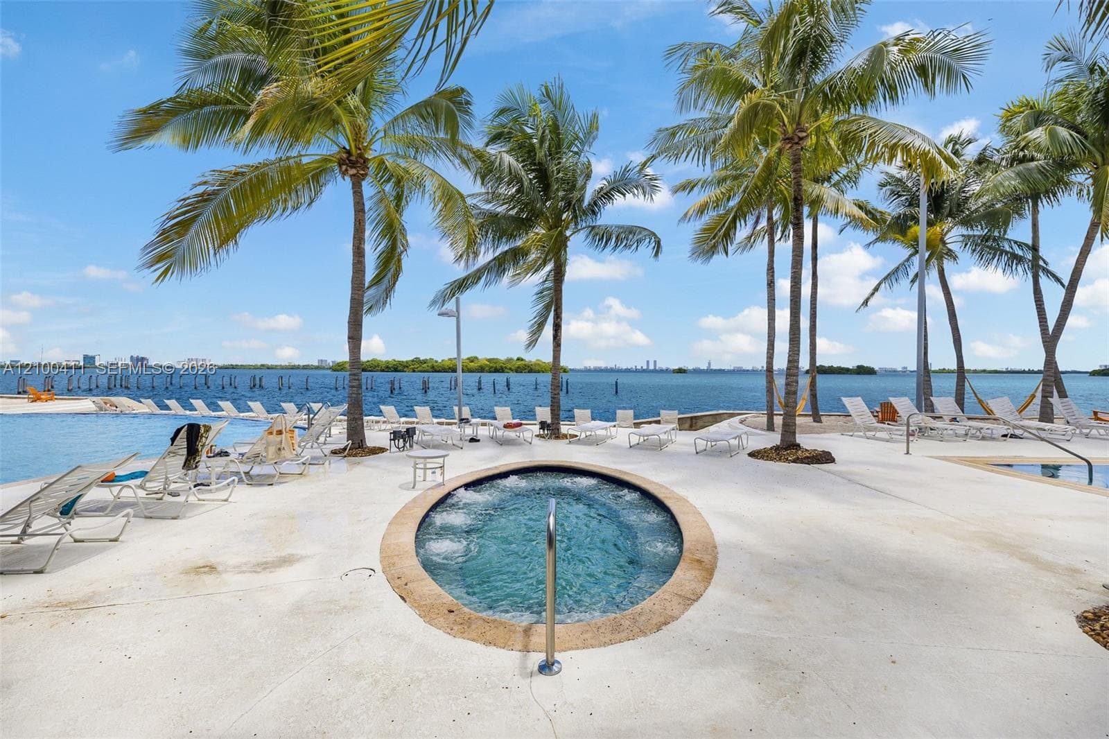 Waterfront outdoor space featuring a circular spa, concrete decking, mature palm trees, and an infinity-edge swimming pool