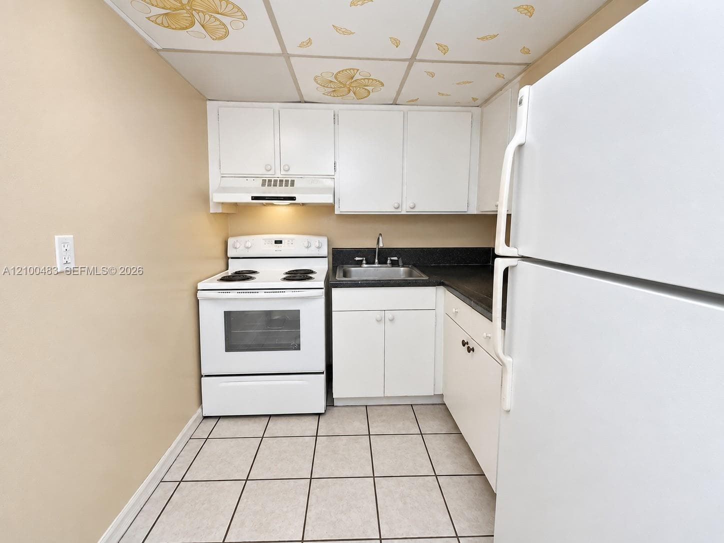 EL PALMAR CONDO · #115 in Miami Gardens - Photo 4