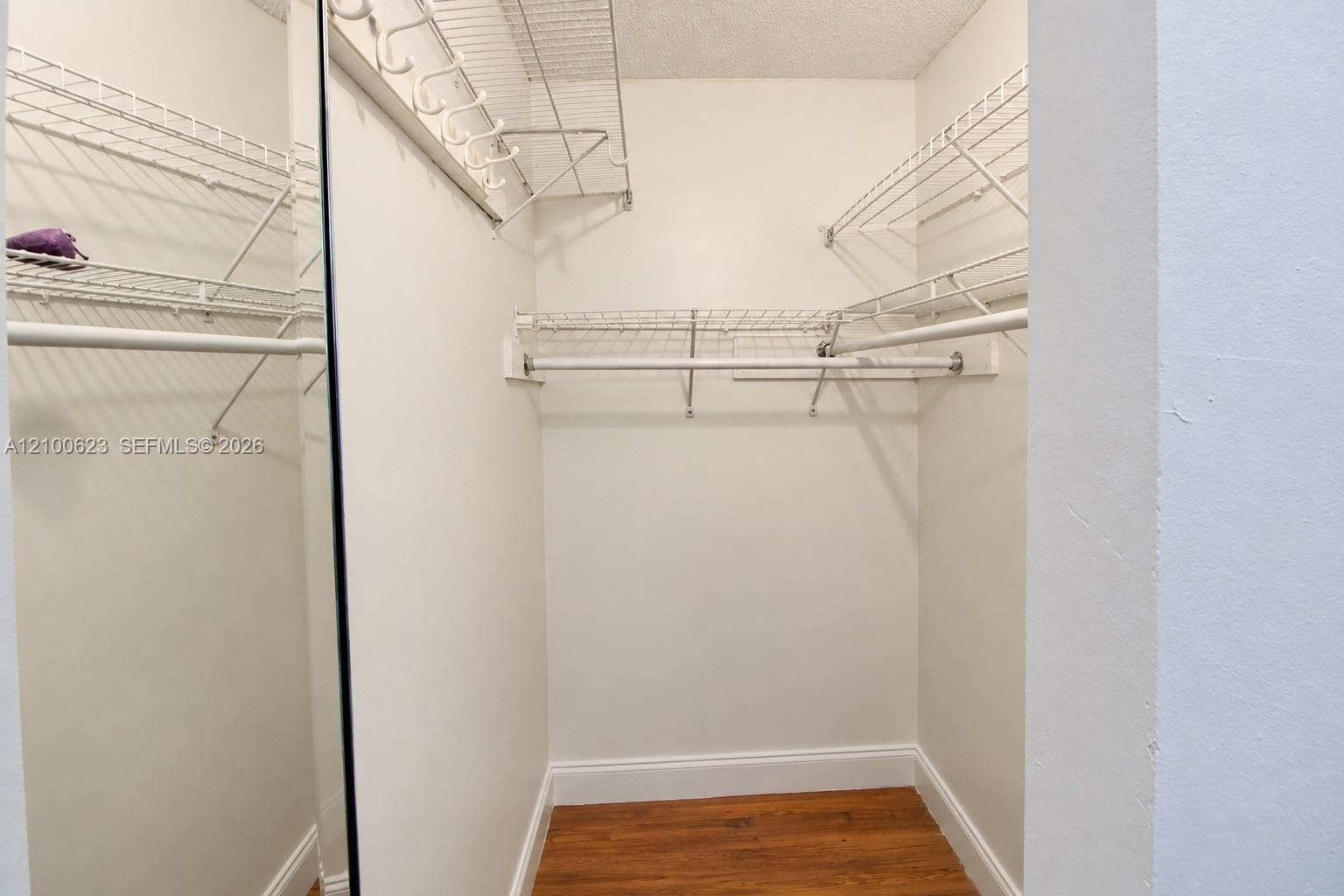Walk-in closet featuring wood-finish flooring, multi-level wire shelving, integrated hanging rods, and a full-length mirrored door