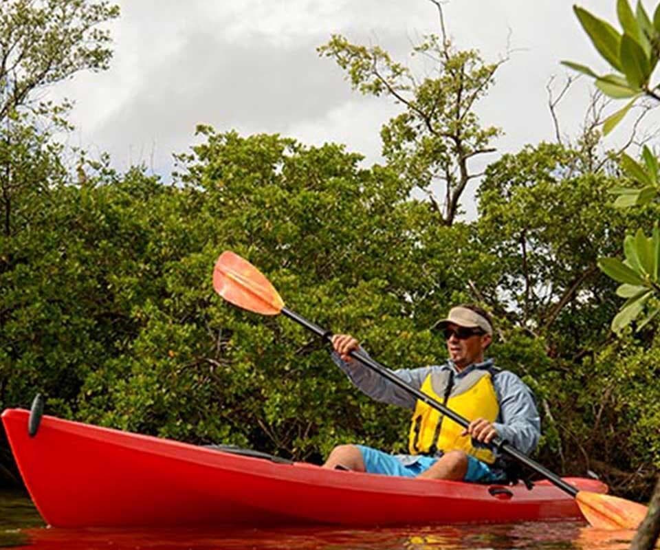 Tours and waters, sports available