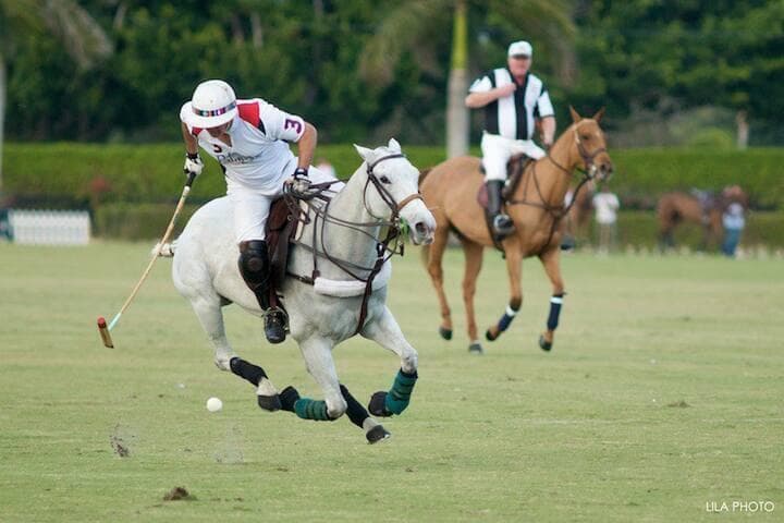 a8f0add1-89cb-4d93-b1c5-dd5a4a54418b
