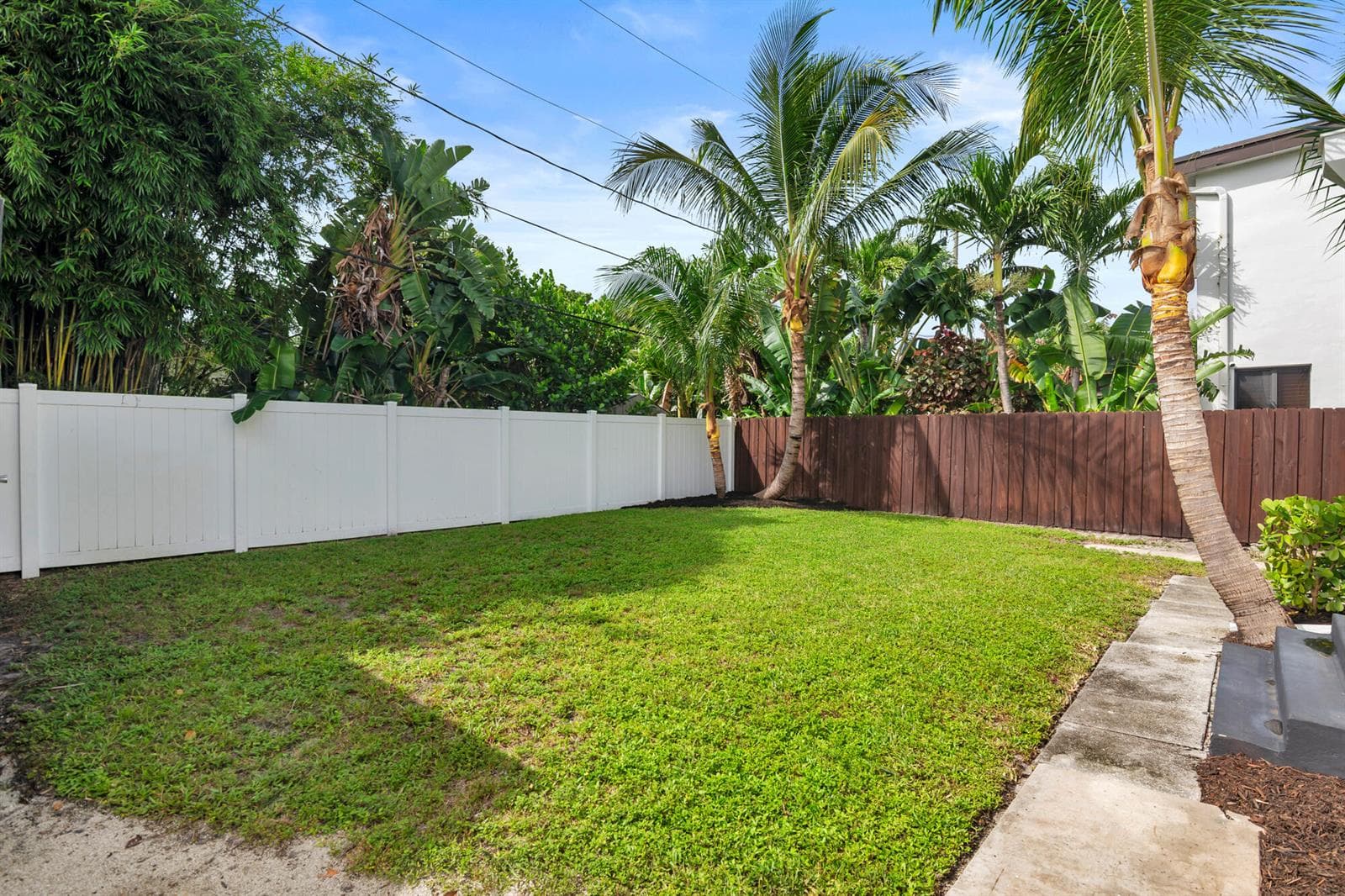 Backyard