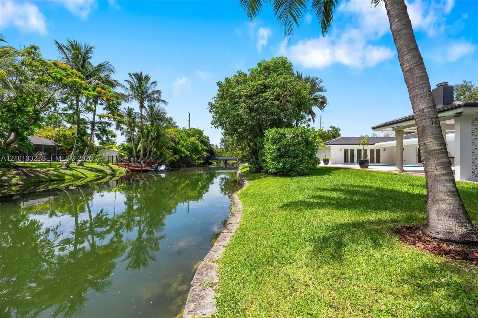 Some homes come with a backyard. This one comes with a mango tree.