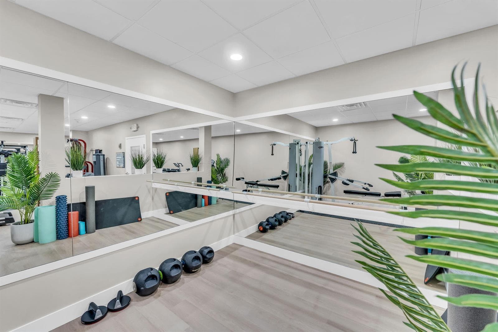 63-web-or-mls-DON08679