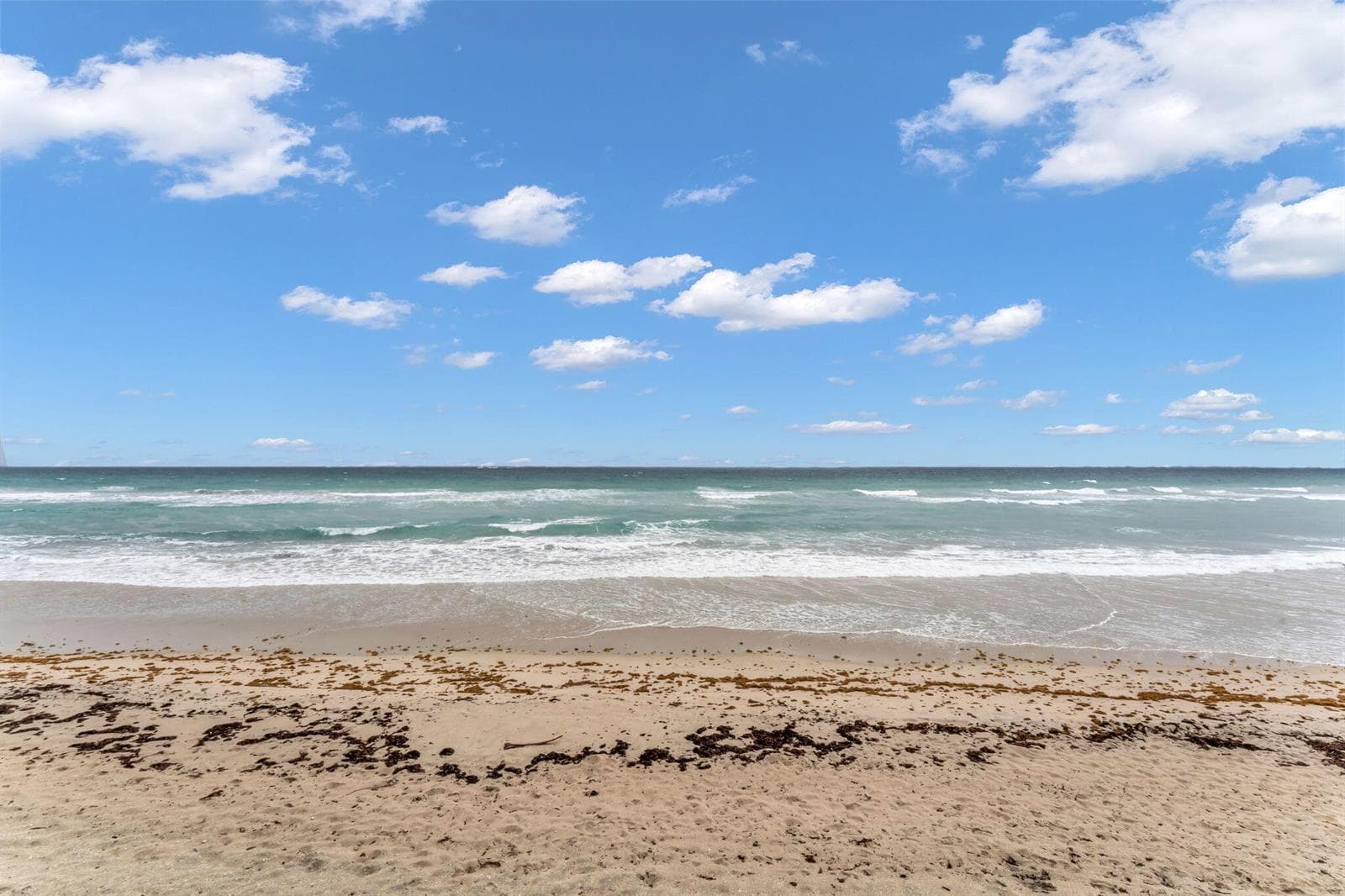 36-web-or-mls-DON08544