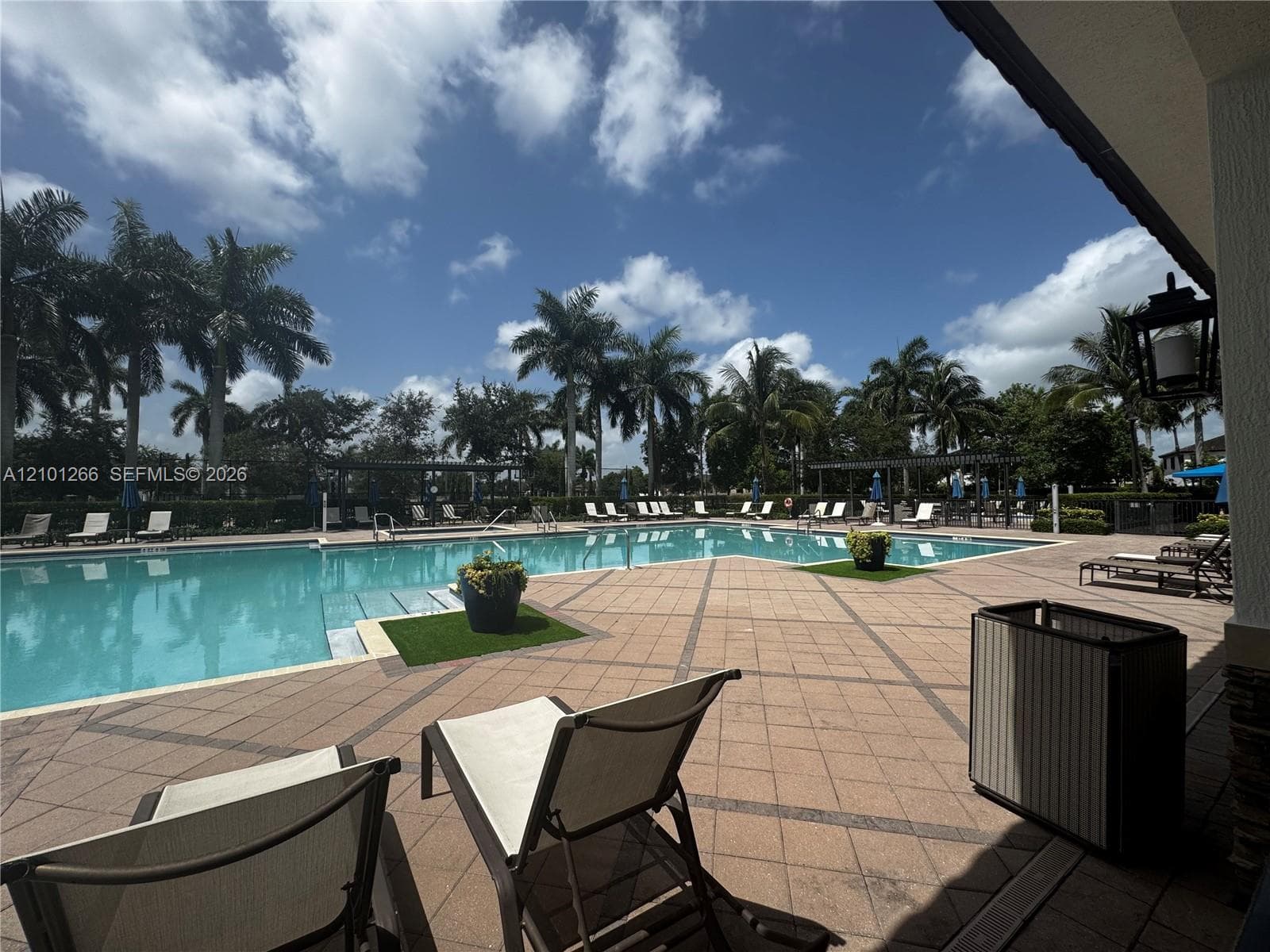 Outdoor swimming pool with integrated sun shelf, expansive stone-paver pool deck, and mature palm tree landscaping