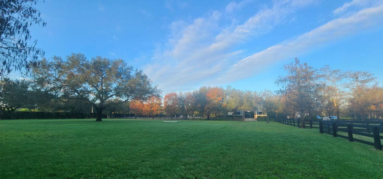 grass riding field