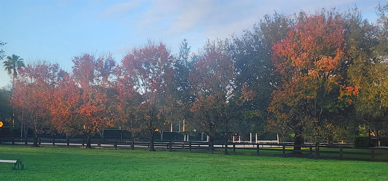 fall colors