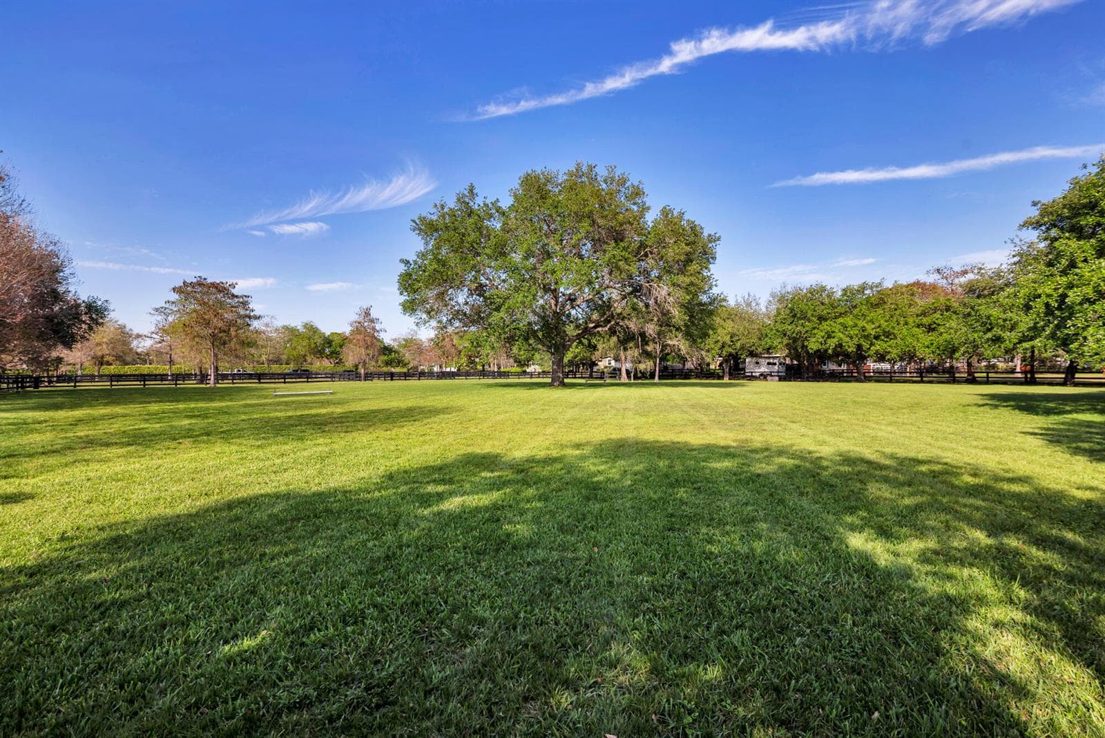 grass riding field