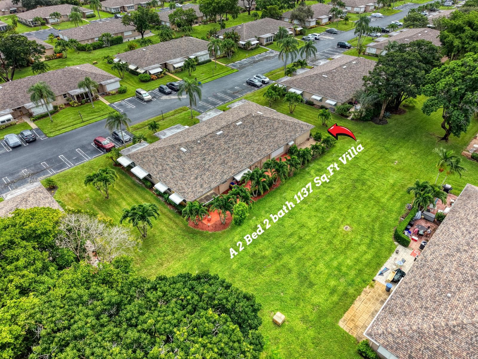 14 Backyard (1)