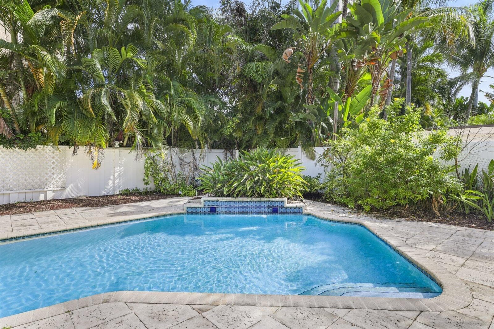 Backyard Pool