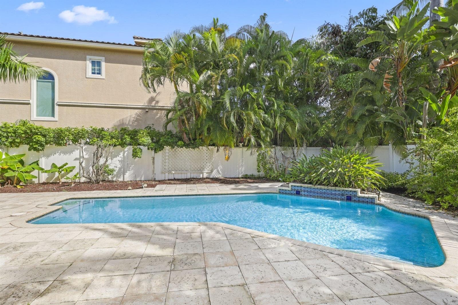 Backyard Pool