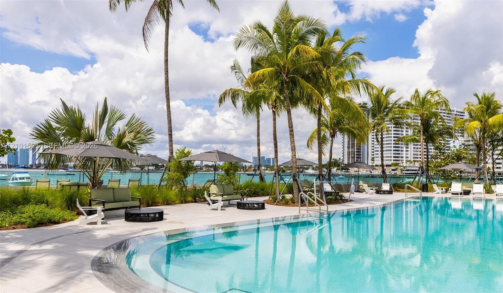 Swimming pool featuring a sun shelf, paved pool deck, and mature palm trees