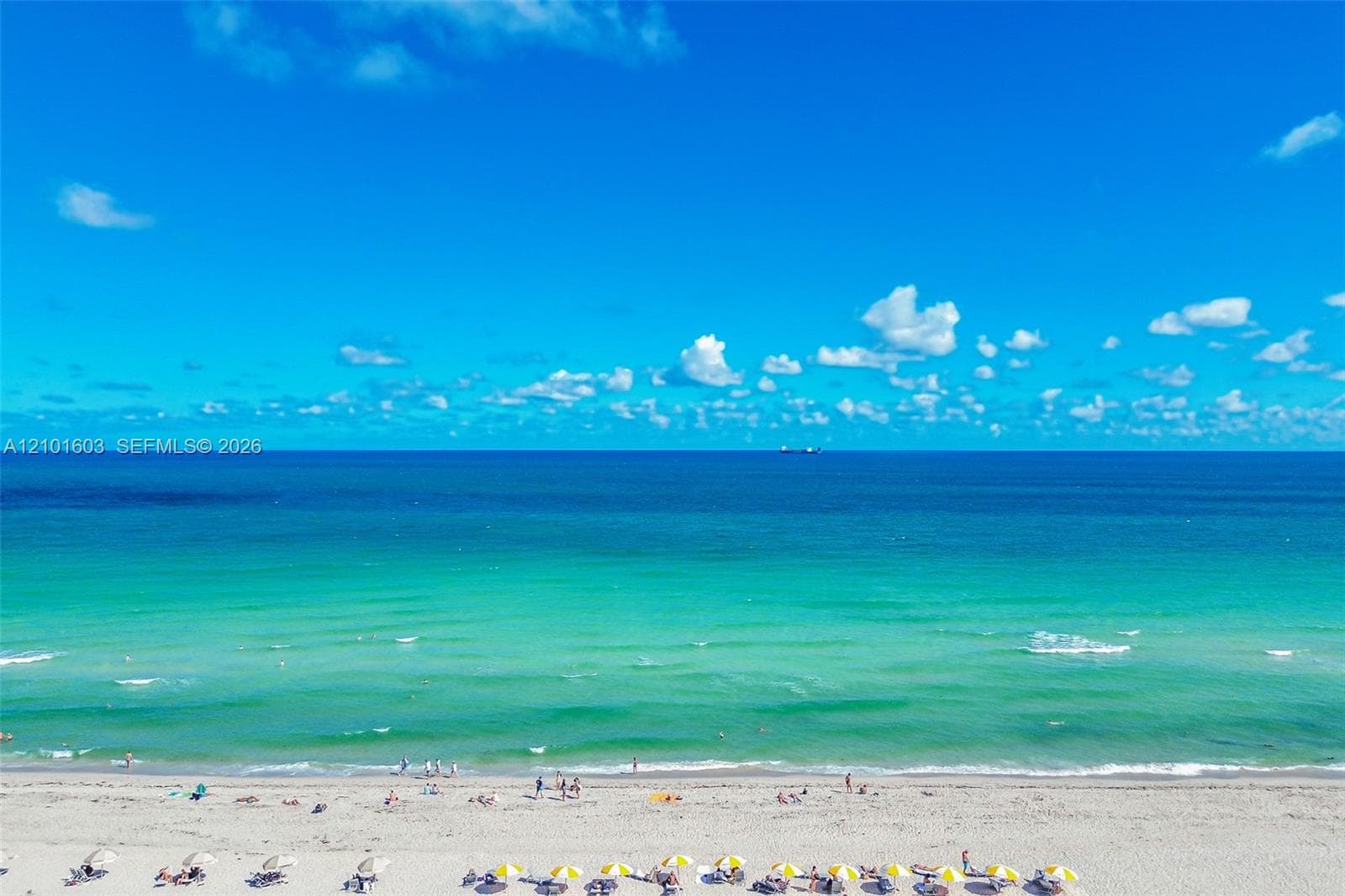 The Decoplage · #502 in Miami Beach - Photo 5