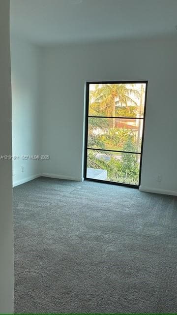 2526 Pierce St #7 photo 14