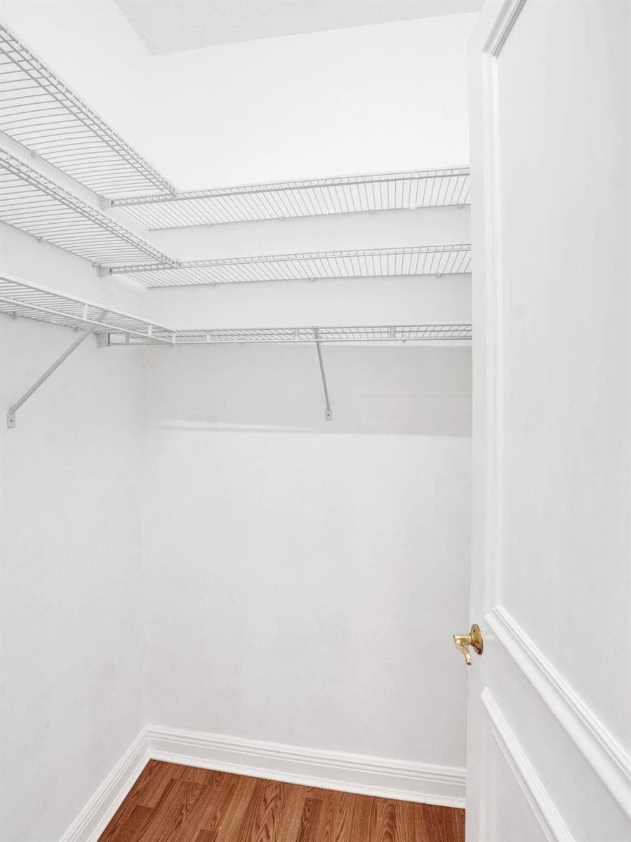 51-web-or-mls-DSC02490