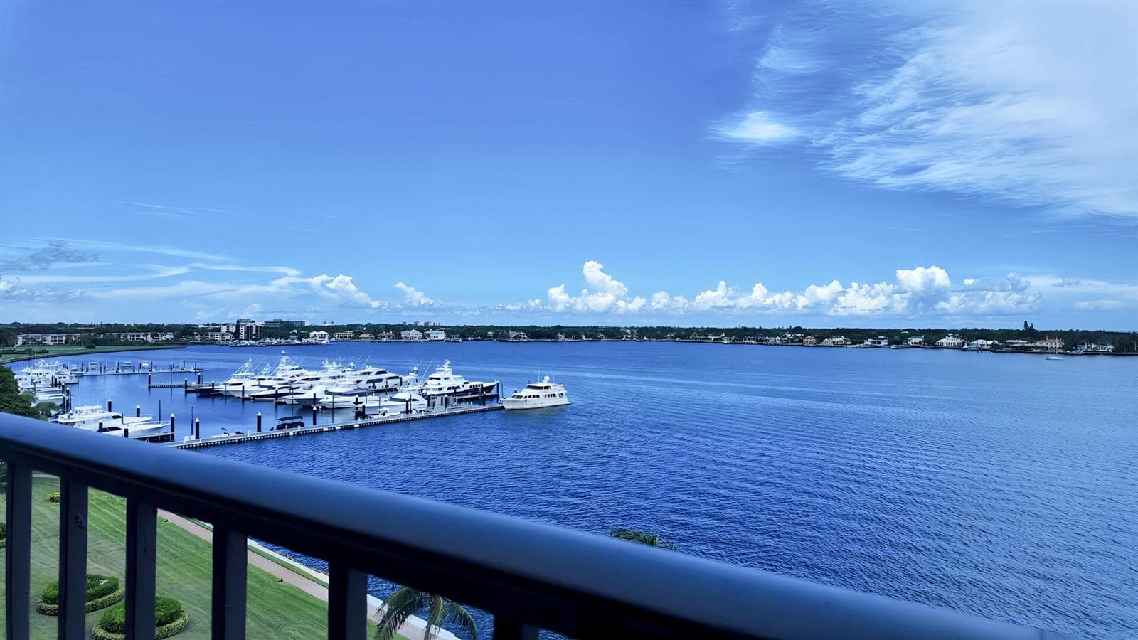 View from Patio
