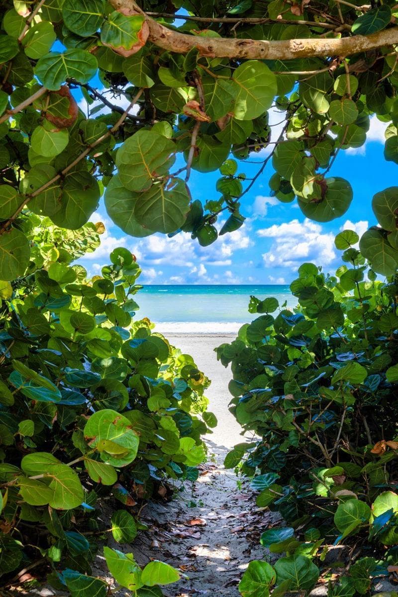 Best Beaches