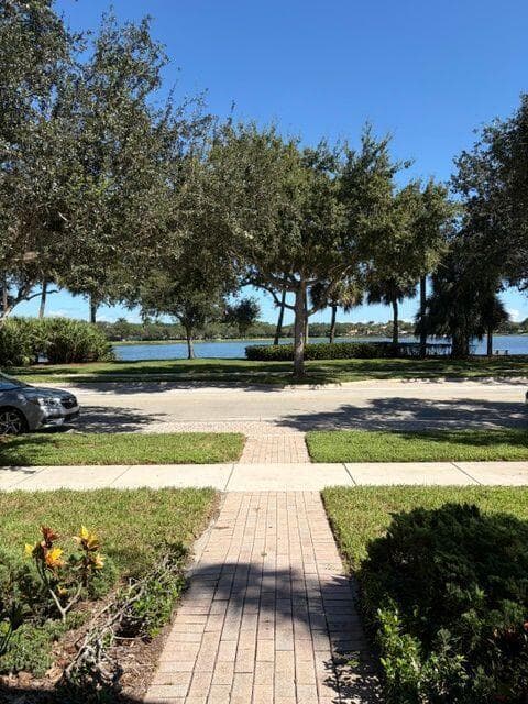 LAKE VIEW