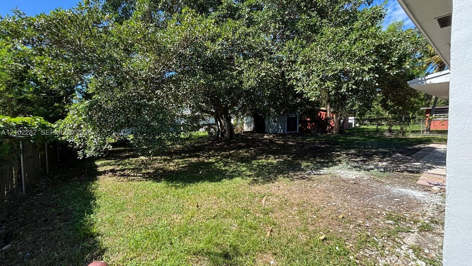 Backyard