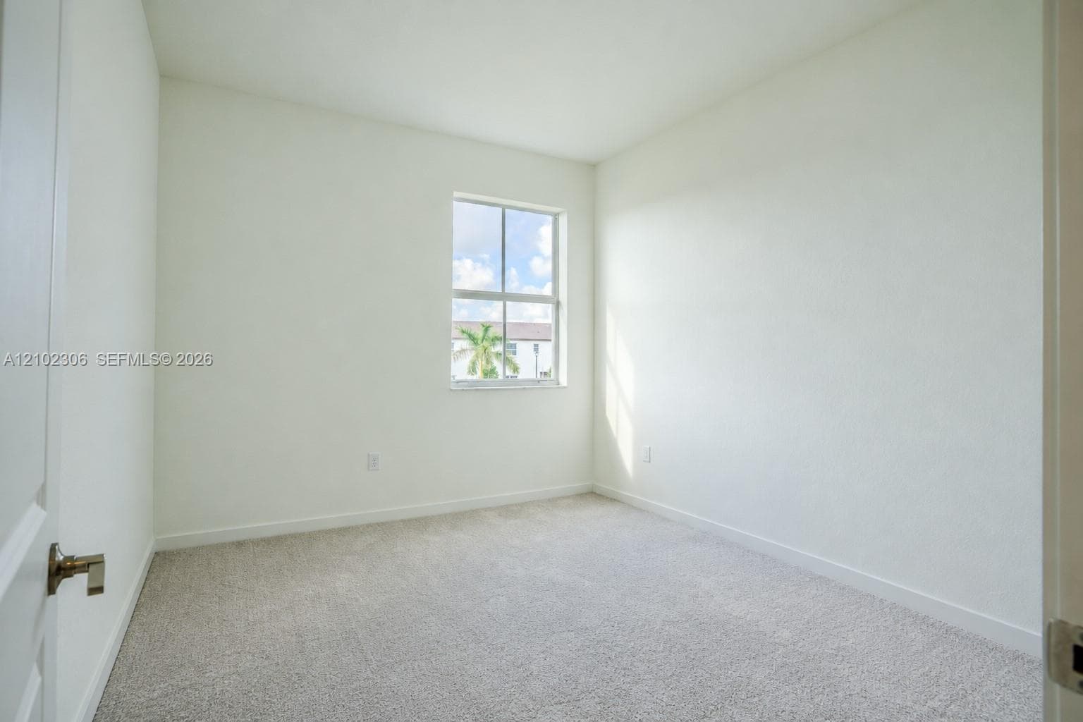 Neutral interior featuring plush wall-to-wall carpeting, crisp white wall finishes, and a single-hung window with a metal handle