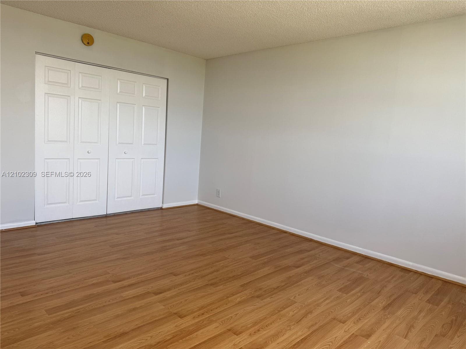 Neutral wall tones, wood-finish flooring, and double-panel closet doors