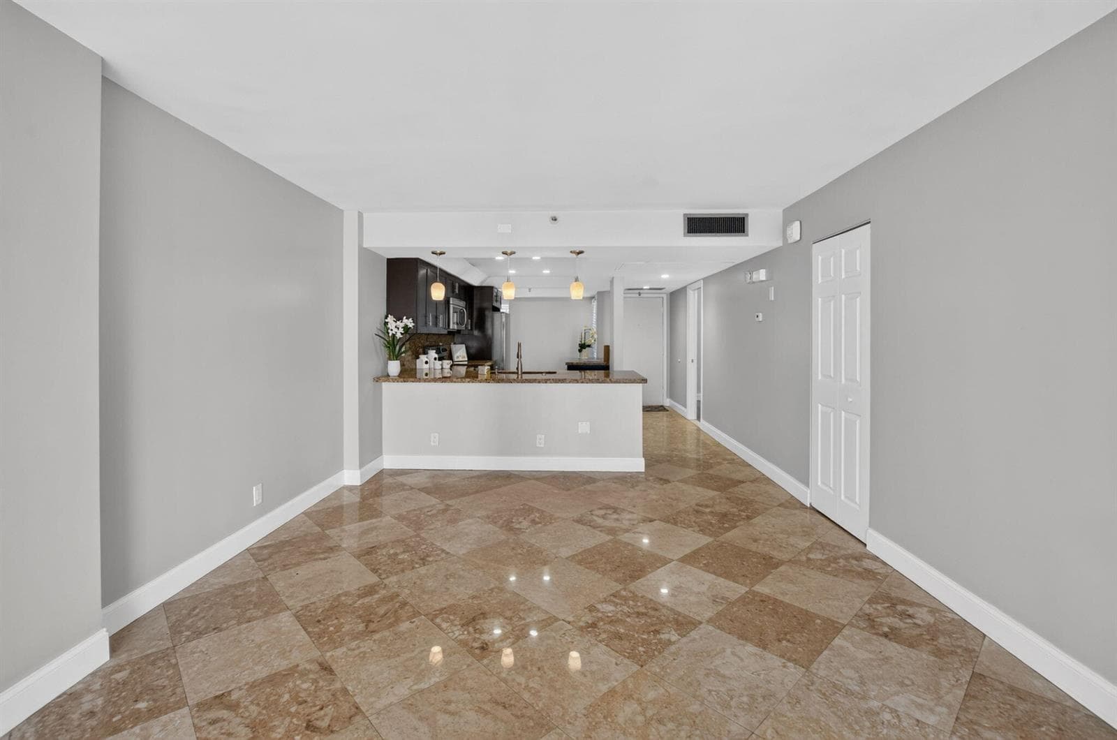 Dining and Living Room Area
